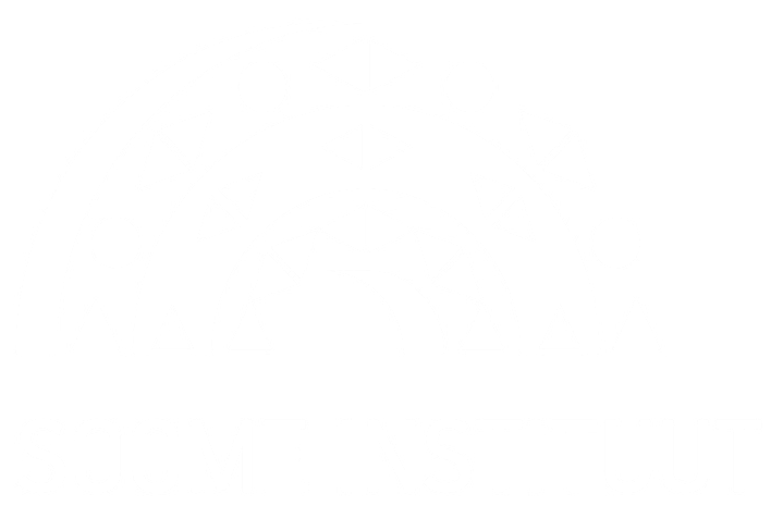 Soome Instituut Eestis